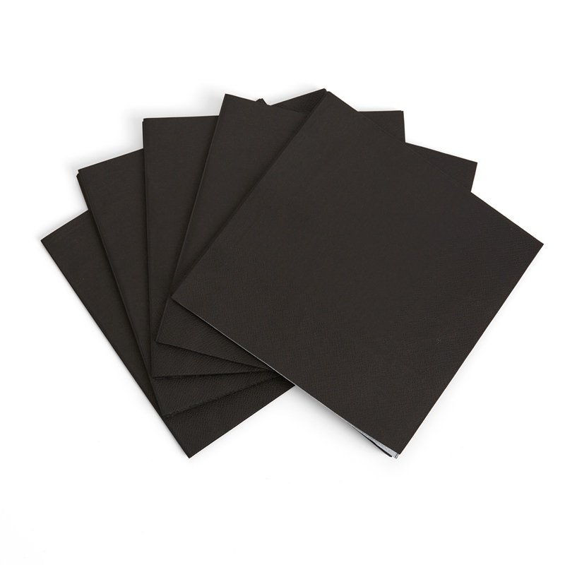 Pure Black Party Disposable Tableware Set