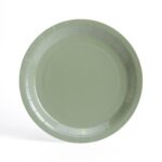 Solid Color Style Sage Green Party Disposable Tableware Set